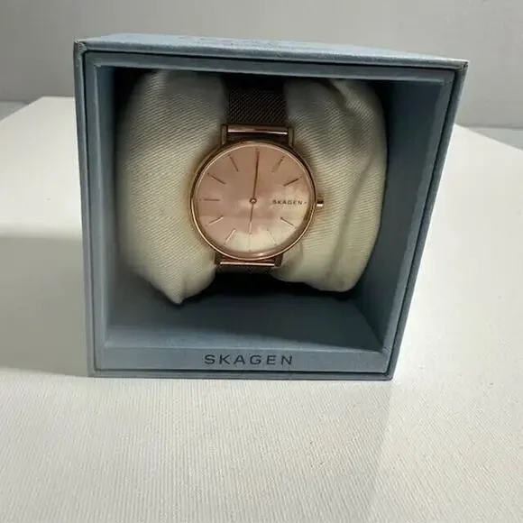 Signatur Titanium Leather Watch Skagen Signature Slim Authentic